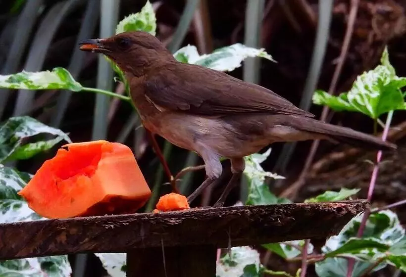 هتل Terra Barichara