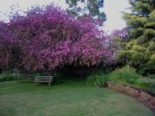 فندق The Lodge Country House