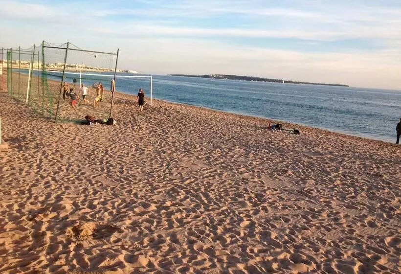 Residence La Palme D Azur Cannes Verrerie