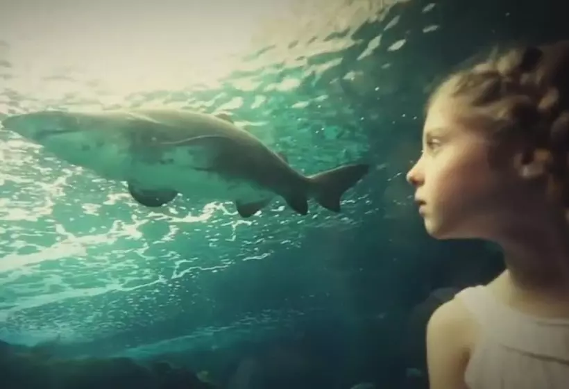 Villa Kokalis Resort