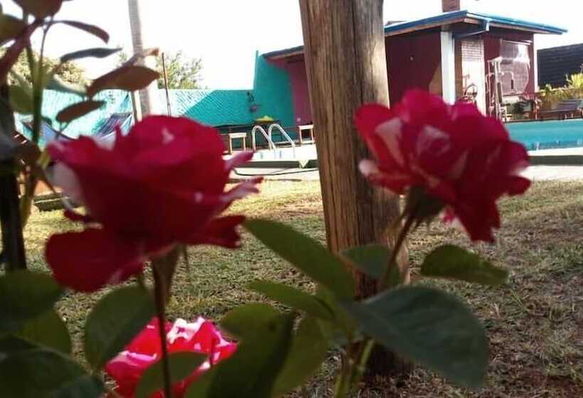 Flowers Hostel