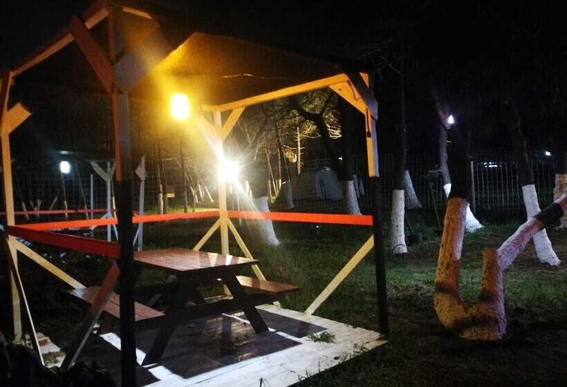 酒店 Atlitur Gumusdere Beach Camp