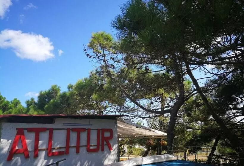 ホテル Atlitur Gumusdere Beach Camp
