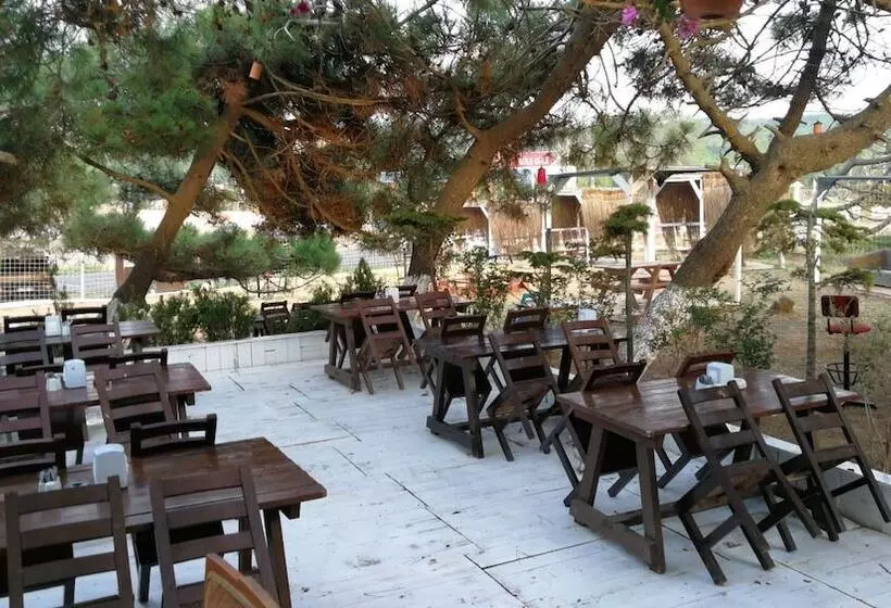 ホテル Atlitur Gumusdere Beach Camp