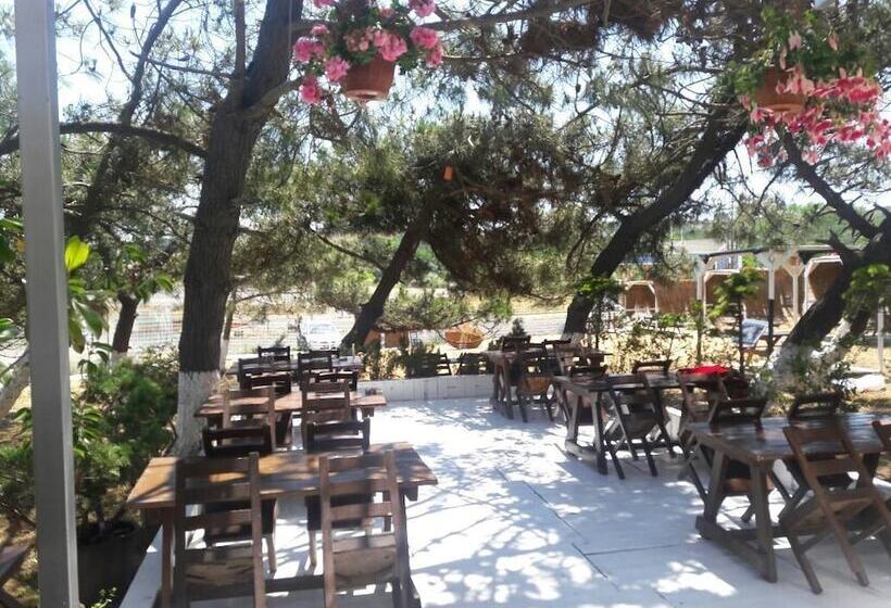 酒店 Atlitur Gumusdere Beach Camp