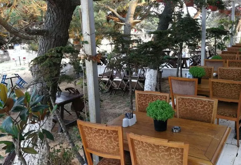 ホテル Atlitur Gumusdere Beach Camp