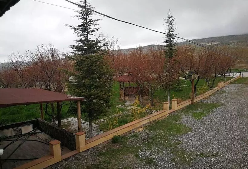 ホテル Atlitur Gumusdere Beach Camp