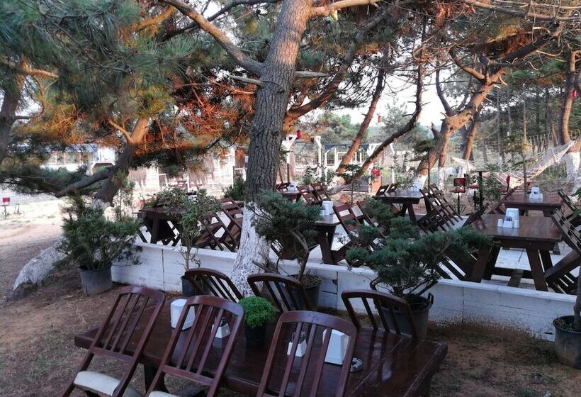 酒店 Atlitur Gumusdere Beach Camp