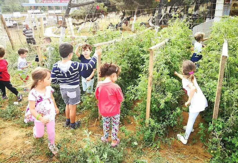 ホテル Atlitur Gumusdere Beach Camp