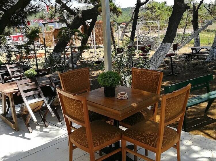 酒店 Atlitur Gumusdere Beach Camp