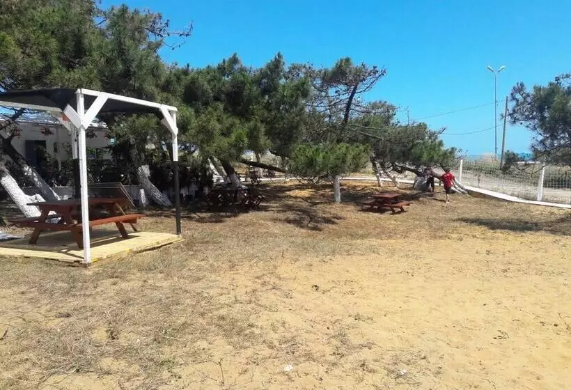 ホテル Atlitur Gumusdere Beach Camp