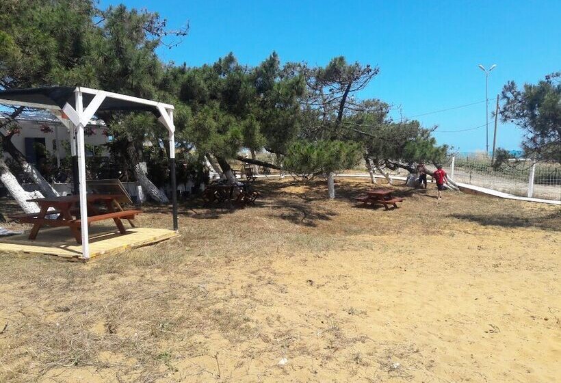 酒店 Atlitur Gumusdere Beach Camp