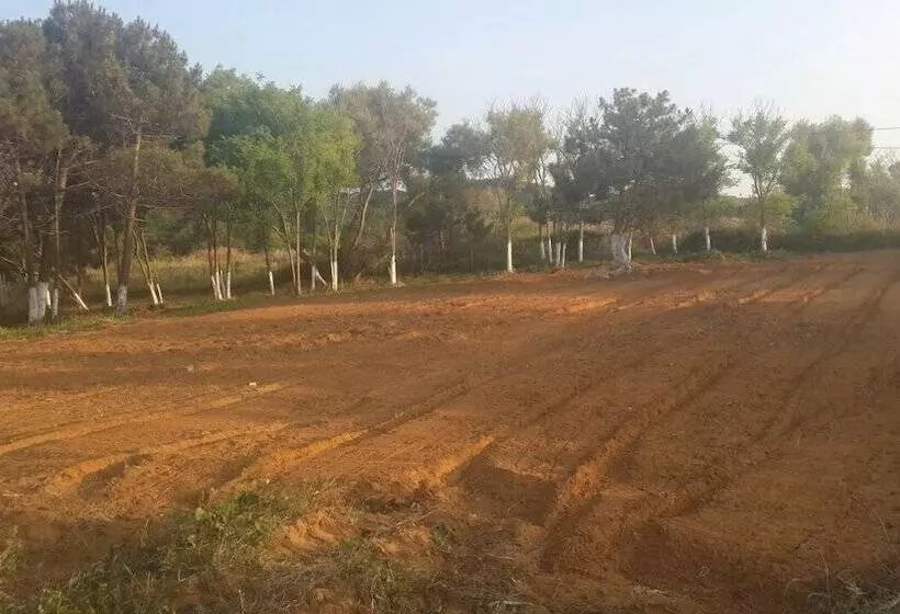 ホテル Atlitur Gumusdere Beach Camp