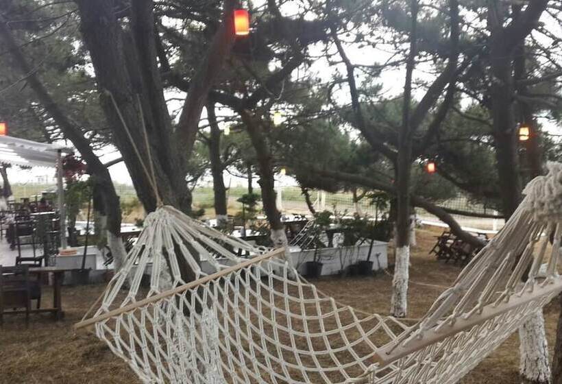 酒店 Atlitur Gumusdere Beach Camp