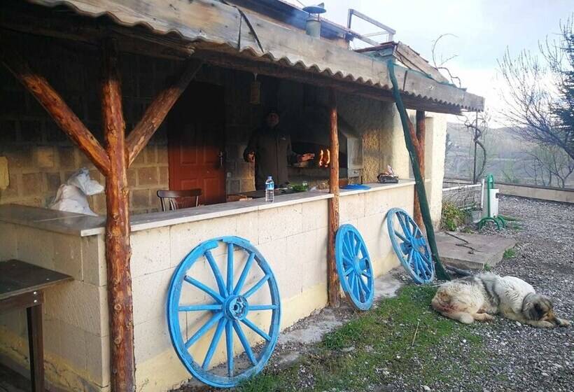 酒店 Atlitur Gumusdere Beach Camp