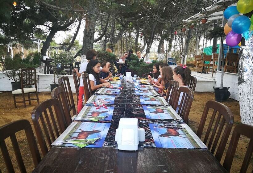 酒店 Atlitur Gumusdere Beach Camp