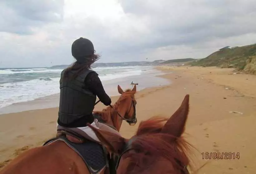 ホテル Atlitur Gumusdere Beach Camp