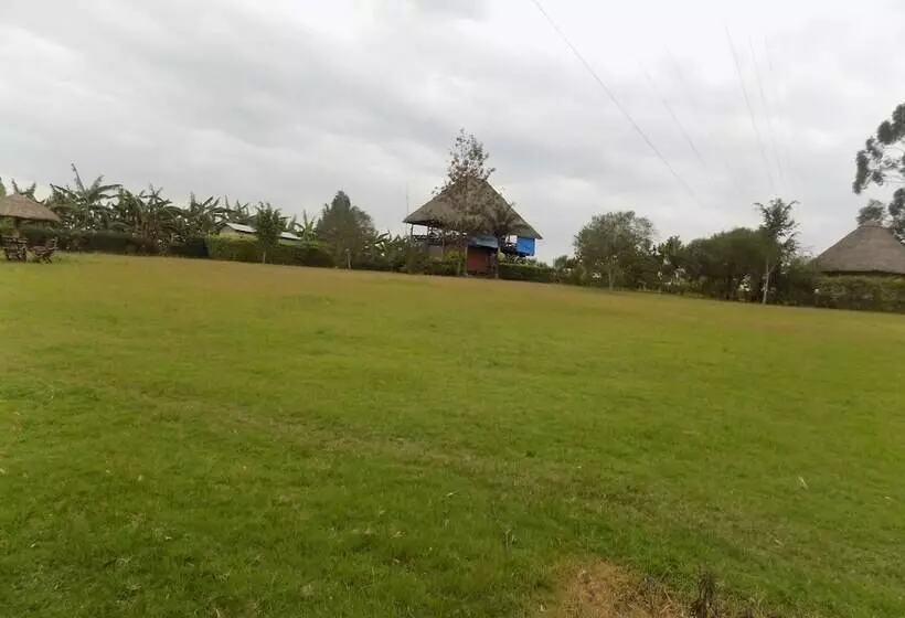 هتل Bettina Resort