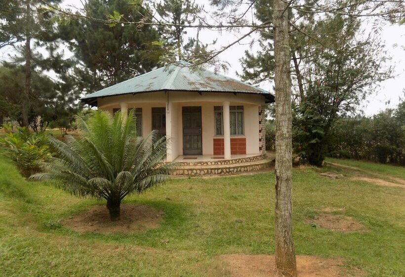 هتل Bettina Resort