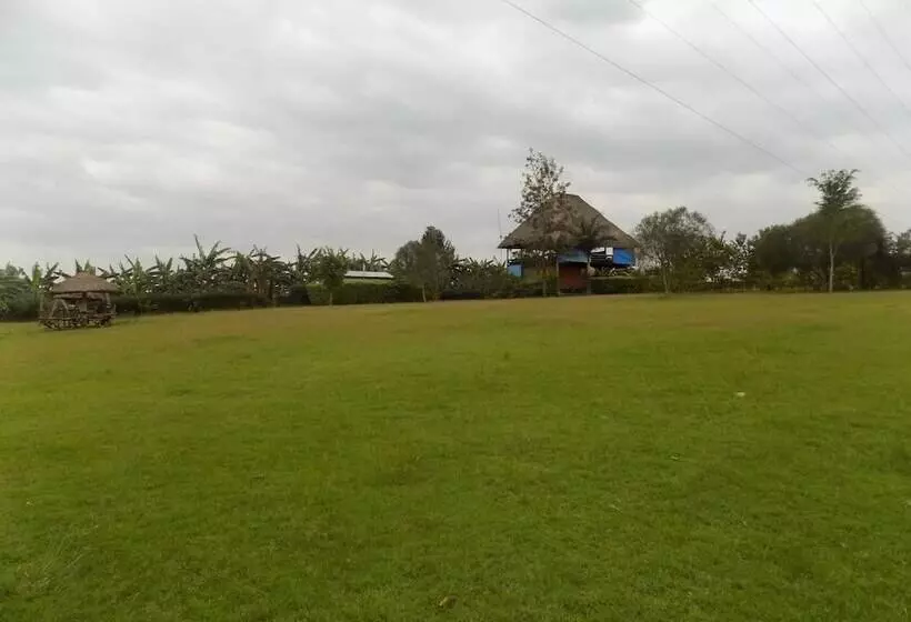هتل Bettina Resort