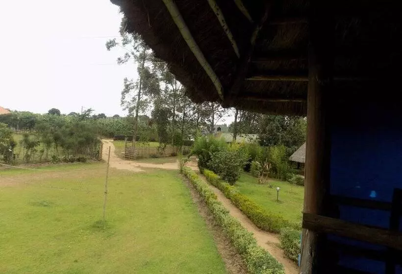 هتل Bettina Resort