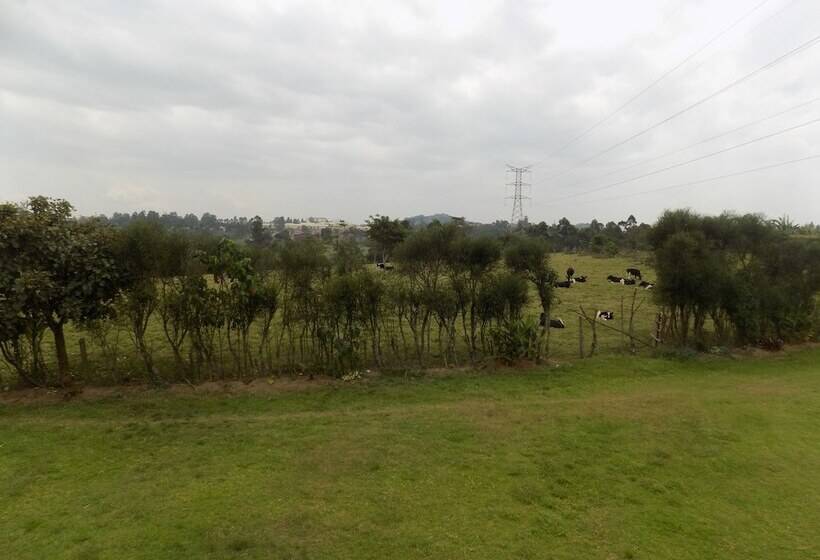 هتل Bettina Resort