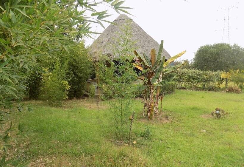 هتل Bettina Resort