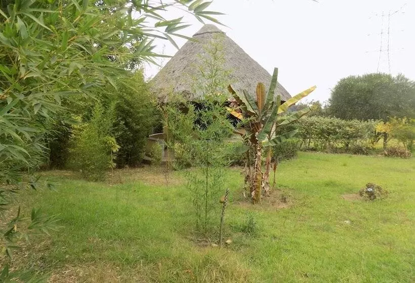 هتل Bettina Resort