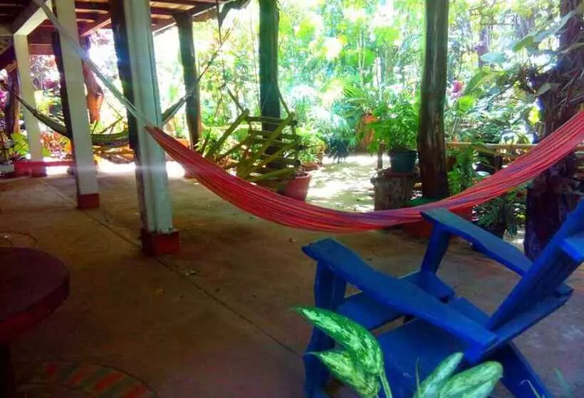 ホテル Eco Posada Tortuga Verde