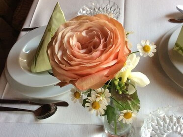 فندق Gasthaus Zum Bären