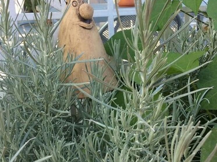 فندق Gasthaus Zum Bären