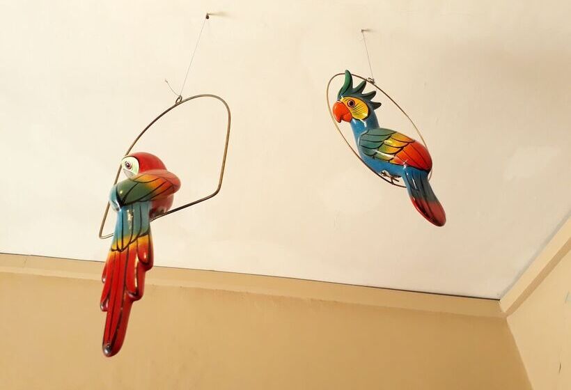 בית מלון כפרי Janeiro