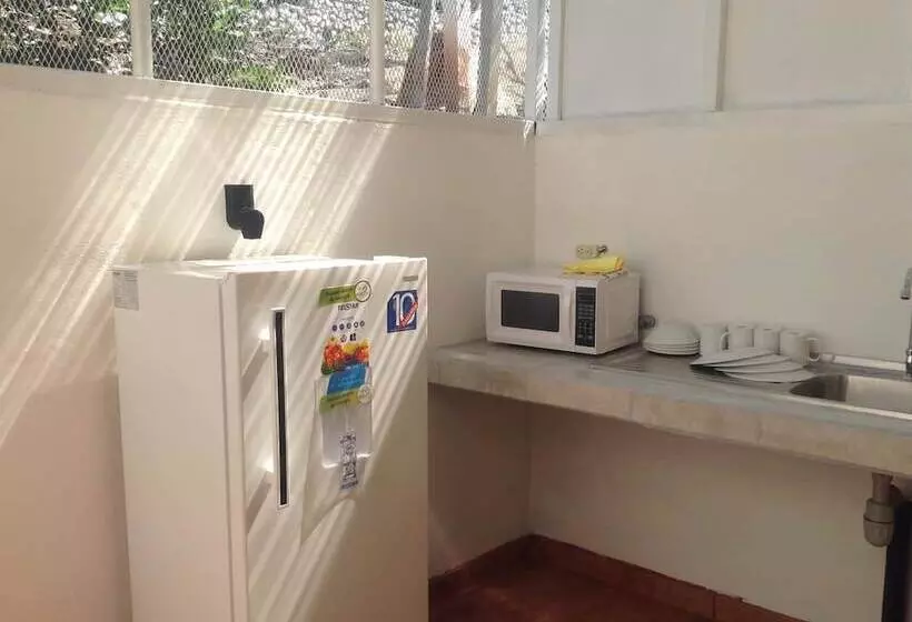 Hotelli La Jungla
