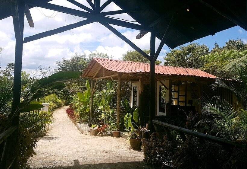 호텔 La Penal Amazon Lodge