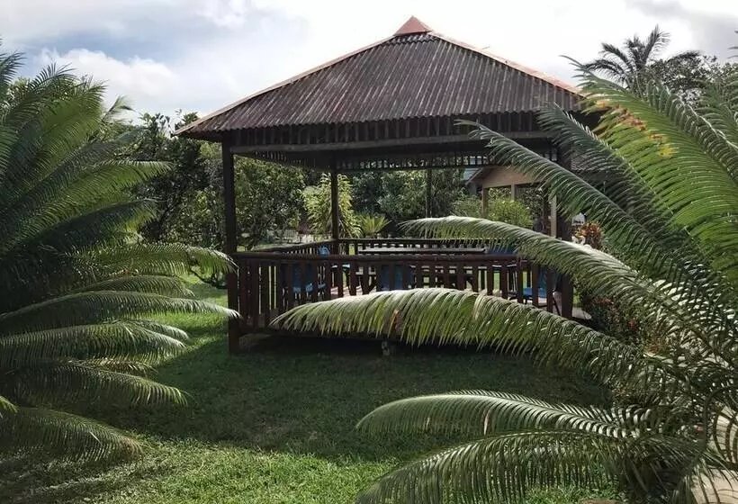 Hotelli O Jungle Spa E