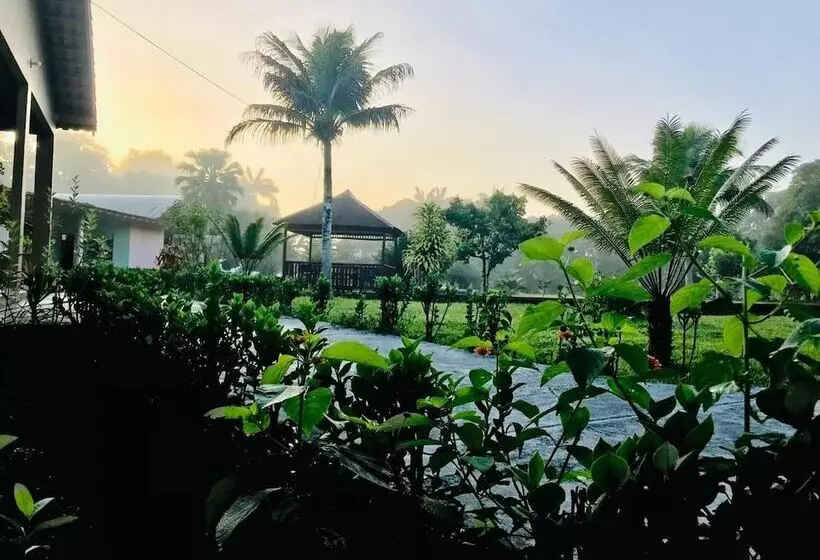 Hotelli O Jungle Spa E