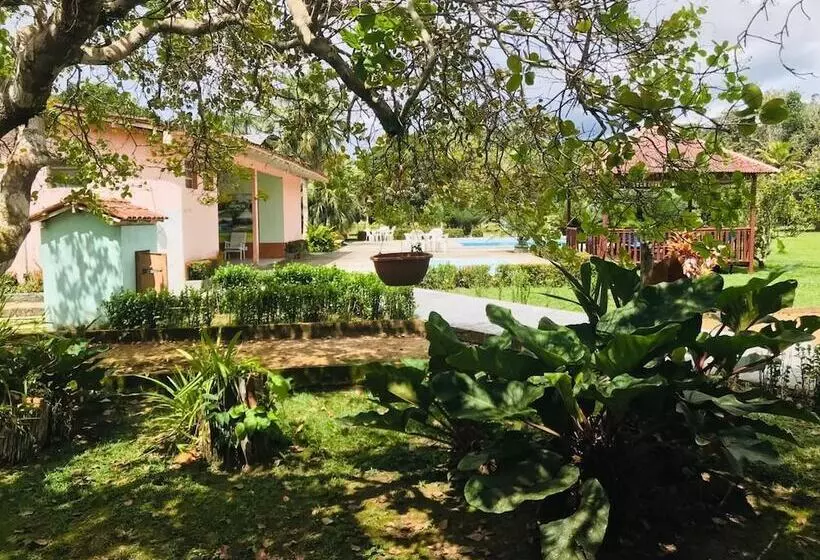 Hotelli O Jungle Spa E