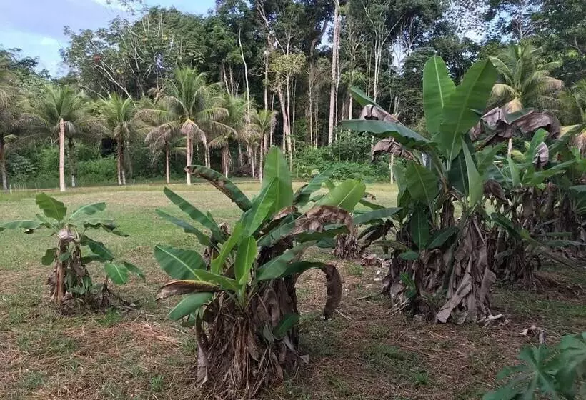 Hotelli O Jungle Spa E