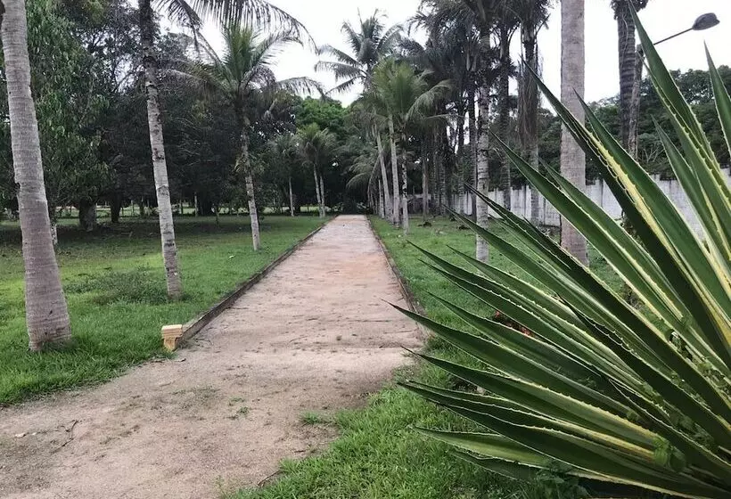 Hotelli O Jungle Spa E