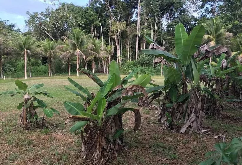 Hotelli O Jungle Spa E