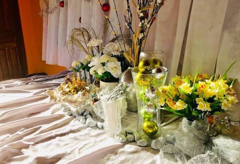 فندق O Jungle Spa E