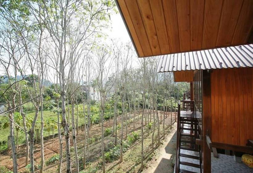 هتل Phong Nha Mountain House