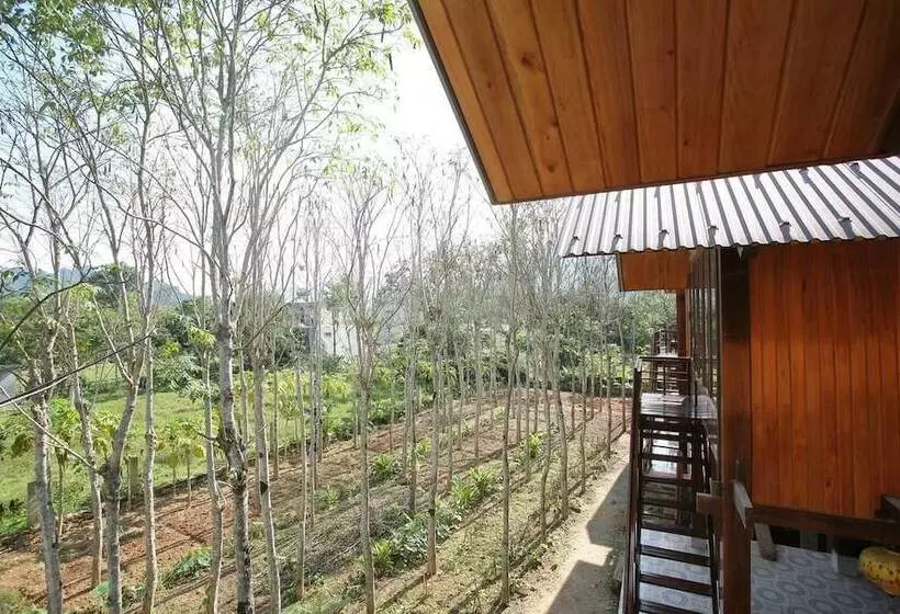 هتل Phong Nha Mountain House