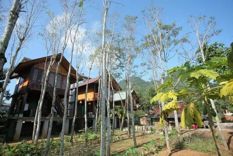 هتل Phong Nha Mountain House