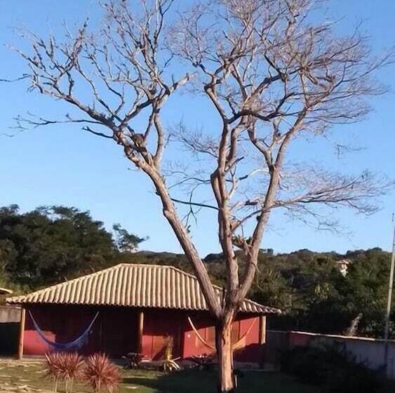 호텔 Pousada Das Papoulas