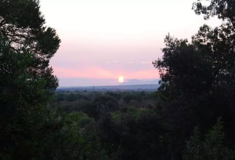 Hotel Rural Finca Son Vivot