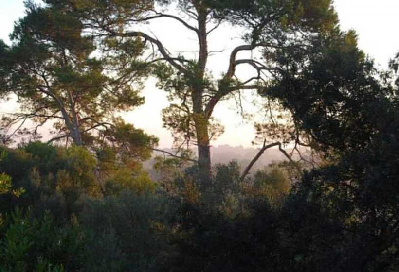 هتل روستایی Finca Son Vivot