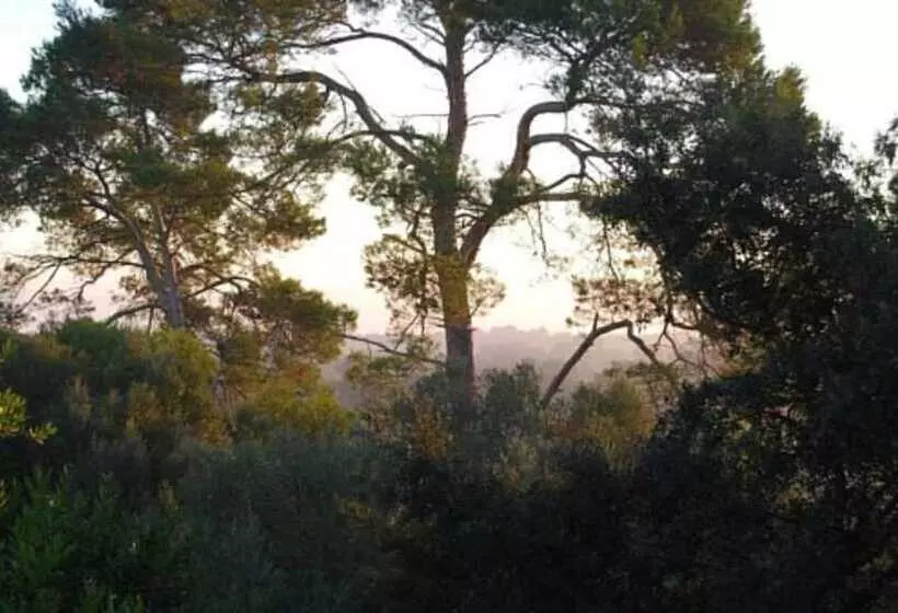 Hotel Rural Finca Son Vivot