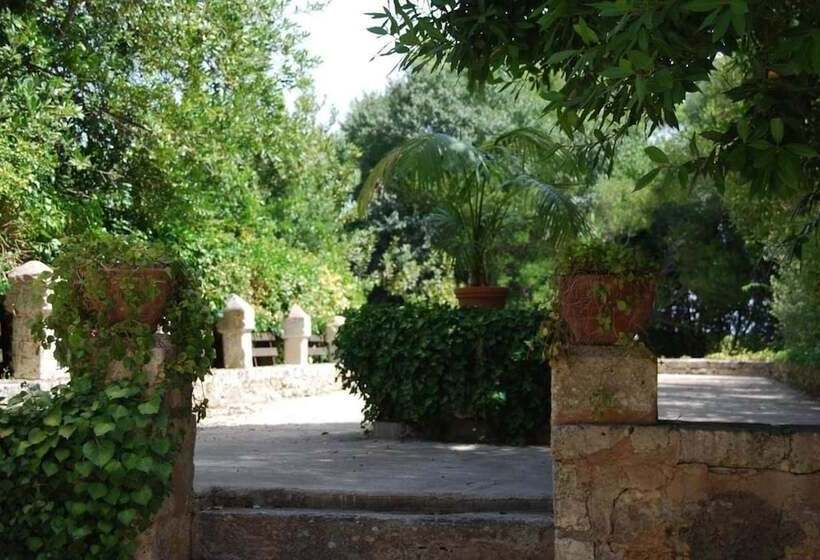 هتل روستایی Finca Son Vivot