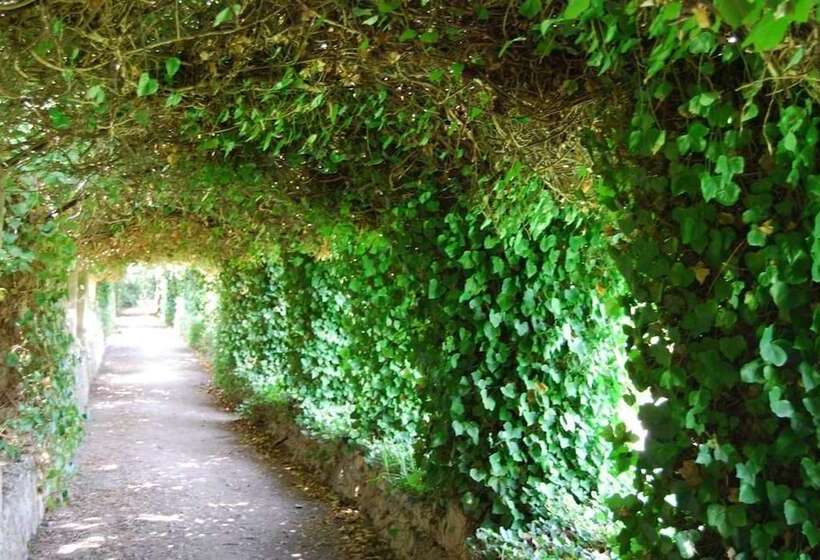 هتل روستایی Finca Son Vivot